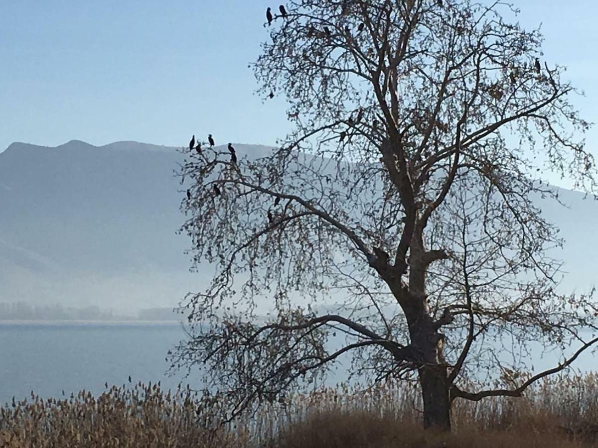 The Little Stone House By The Lake Kastoria Extérieur photo